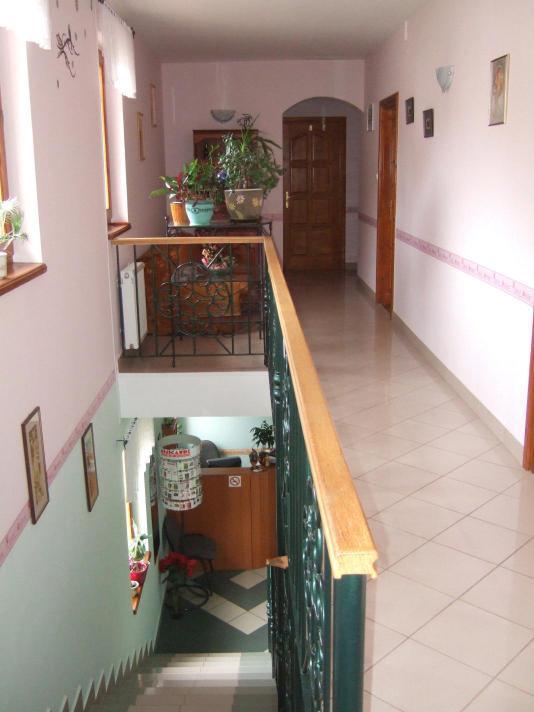 Timarhaz Panzio Bed & Breakfast Szeged Bagian luar foto