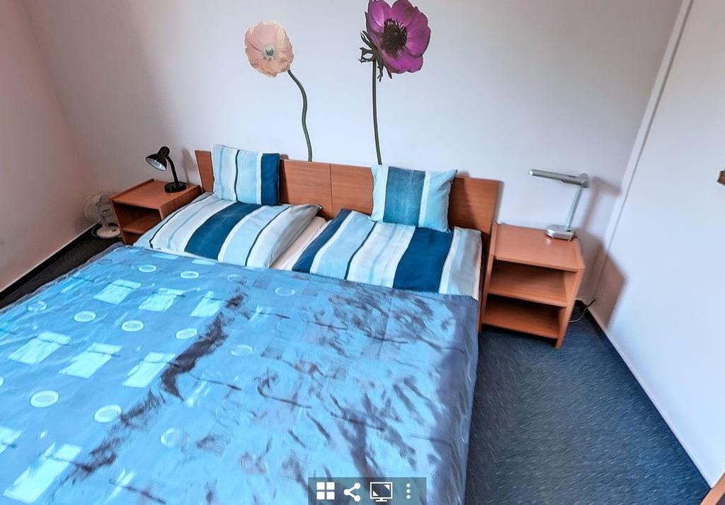 Timarhaz Panzio Bed & Breakfast Szeged Bagian luar foto